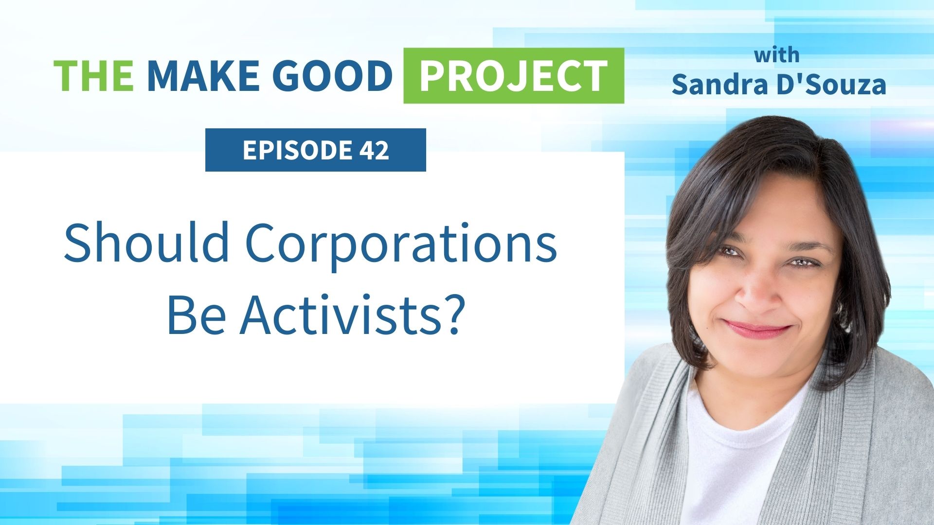 EP #42: Should Corporations Be Activists?